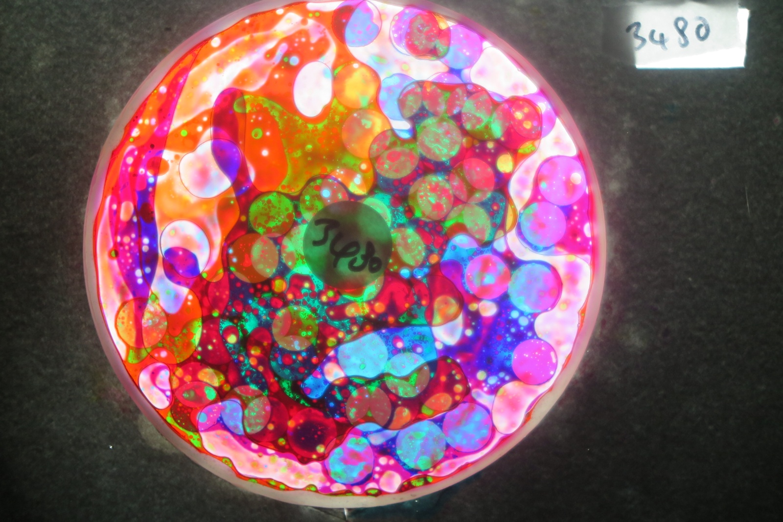 BV3480 bubble vision oil wheel